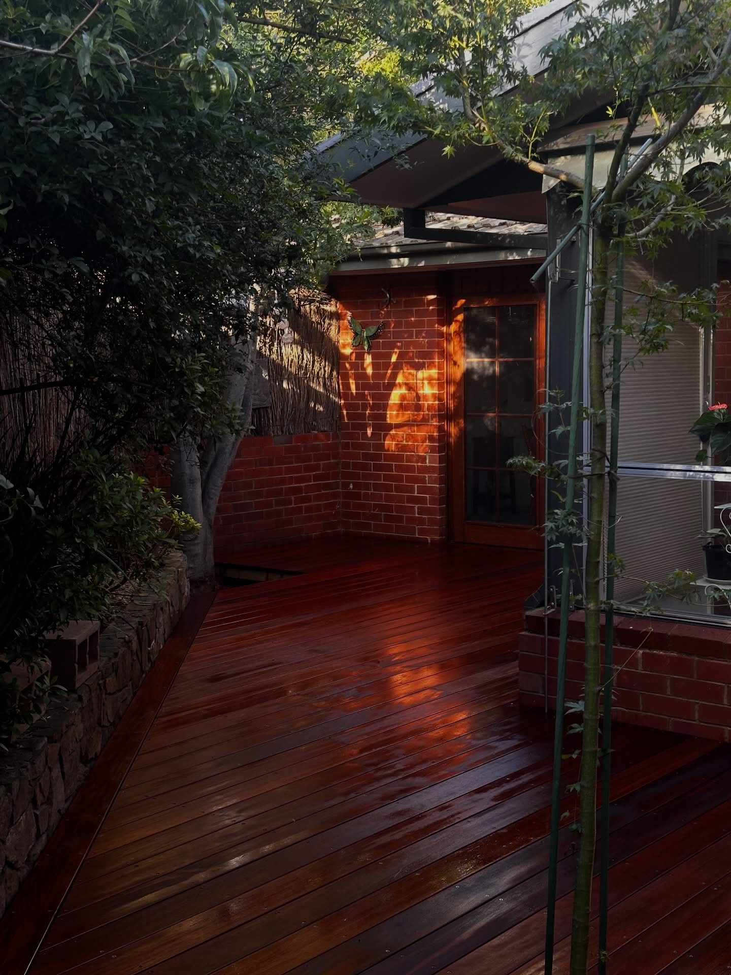Finished timber deck wrapping around a Canberra home at golden hour